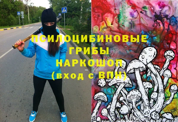 стафф Верея