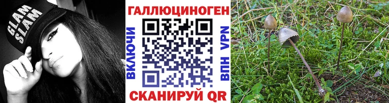 Псилоцибиновые грибы ЛСД  купить   blacksprut маркетплейс  Волчанск 